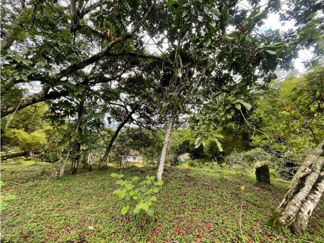 Lote en venta en La Buitrera, Cali, 15800 m² · foto 4 de 13