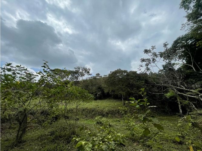 Lote en venta en La Buitrera, Cali, 15800 m² · foto 5 de 13