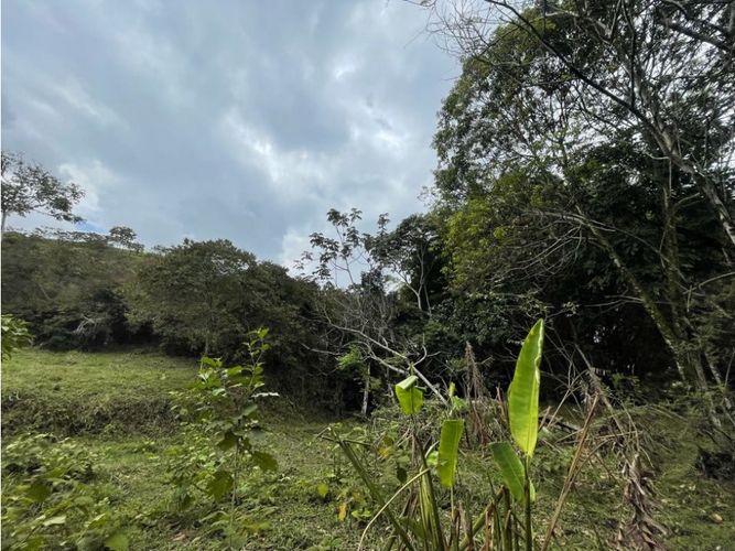 Lote en venta en La Buitrera, Cali, 15800 m² · foto 13 de 13