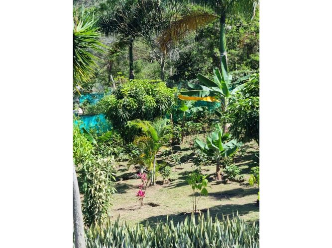 Casa de 5 alcobas en venta en Campo Alegre, Cali, 600 m² · foto 18 de 22