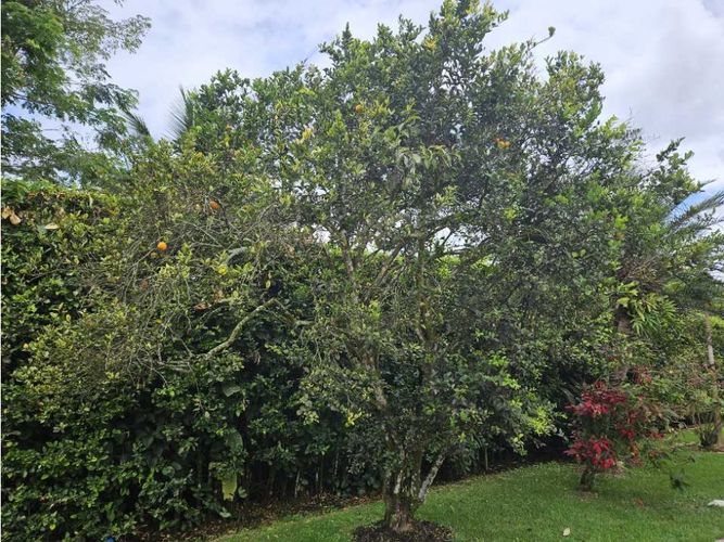 Casa de 4 alcobas en venta en La Morada, Jamundí, 546 m² · foto 24 de 24