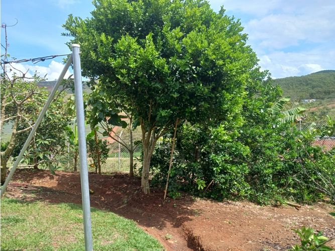 Casa de 4 alcobas en venta en La Arboleda, Cali, 140 m² · foto 4 de 24