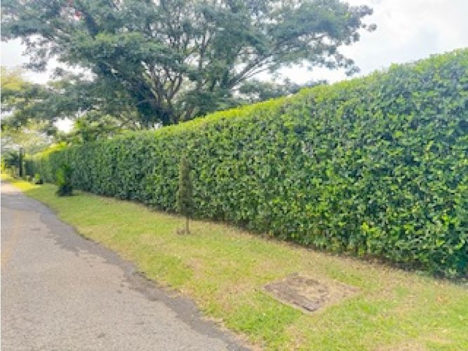 Lote en venta en La Morada, Jamundí, 2250 m² · foto 3 de 10