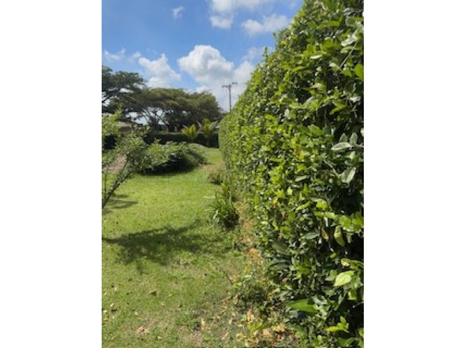 Lote en venta en La Morada, Jamundí, 2250 m² · foto 6 de 10