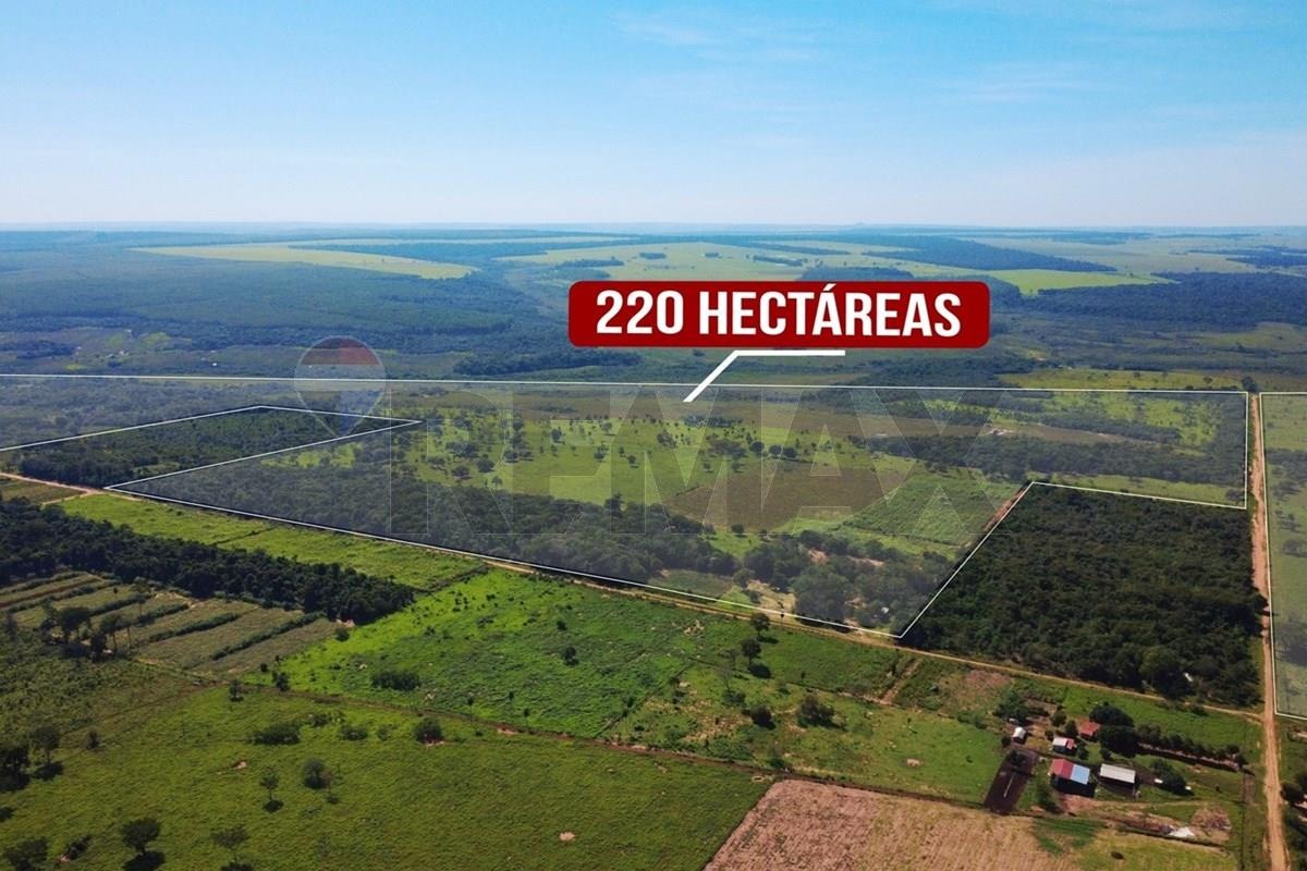 ESTANCIA DE 2.200.000 M2 EN PUNTA SUERTE - SAN ESTANISLAO EN VENTA — foto 2