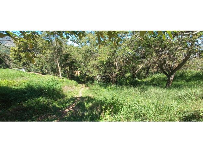 Lote en venta en El Volador, Piedecuesta, 1250 m² · foto 4 de 9