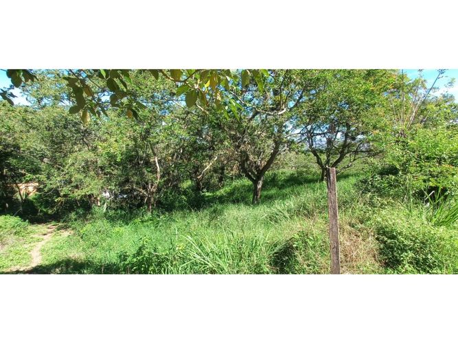Lote en venta en El Volador, Piedecuesta, 1250 m² · foto 5 de 9