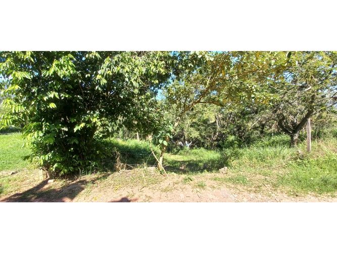Lote en venta en El Volador, Piedecuesta, 1250 m² · foto 7 de 9