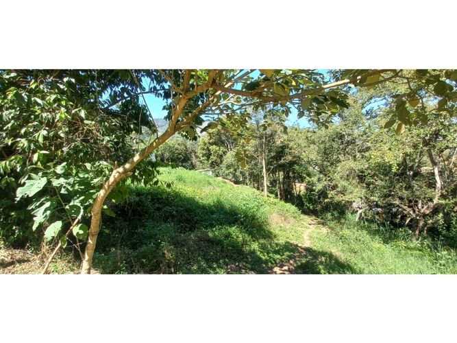 Lote en venta en El Volador, Piedecuesta, 1250 m² · foto 9 de 9