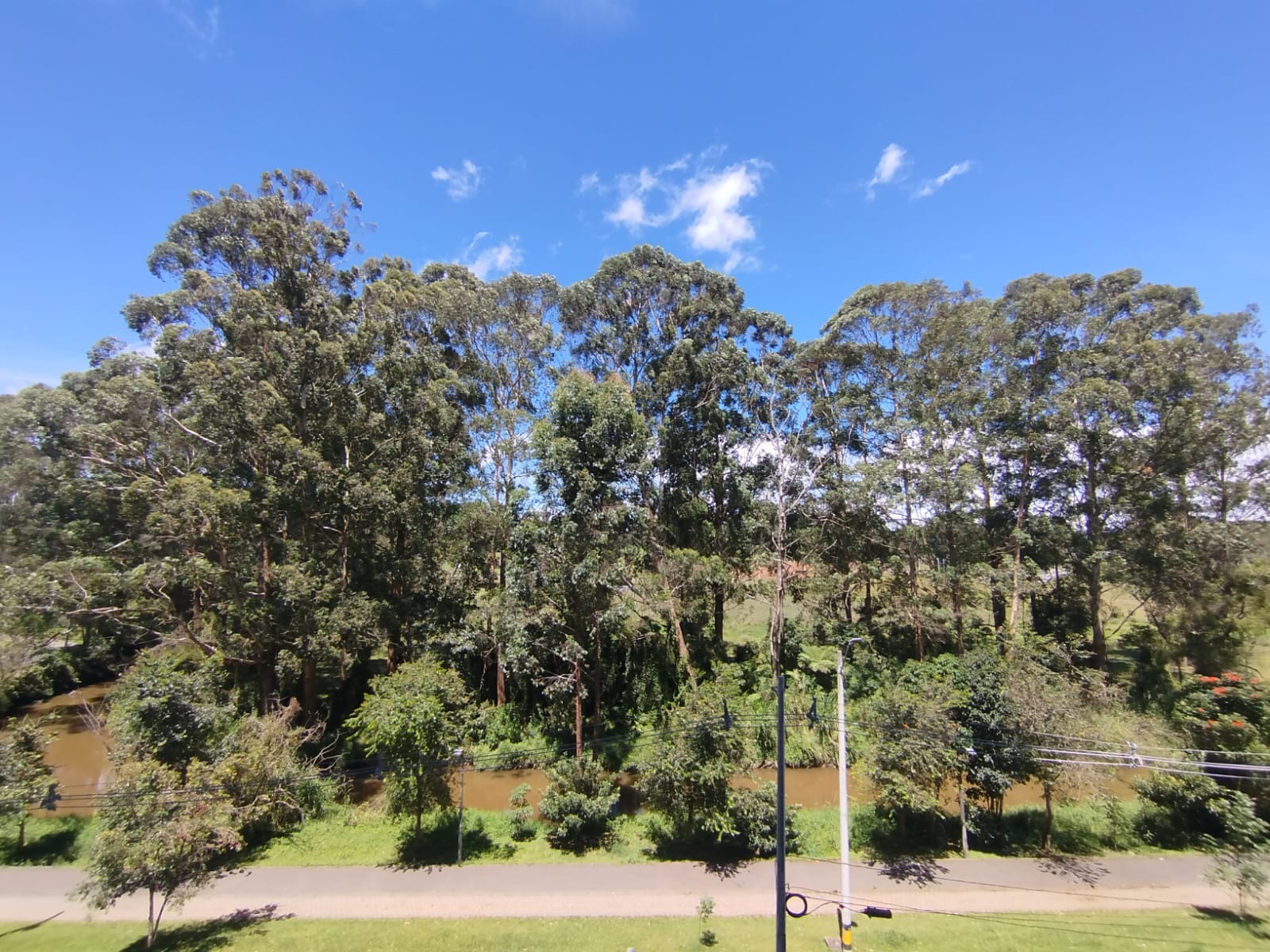 Apartamento en arriendo en Centro, Rionegro · foto 6 de 12