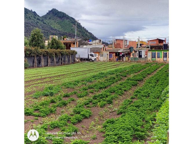 Lote en venta en La Moya, Cota, 836 m² · foto 6 de 17