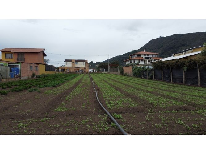 Lote en venta en La Moya, Cota, 836 m² · foto 16 de 17