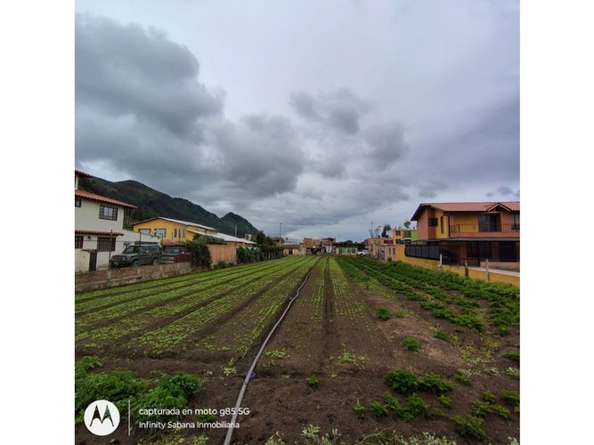 Lote en venta en La Moya, Cota, 985 m² · foto 7 de 16