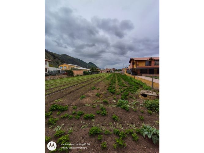 Lote en venta en La Moya, Cota, 985 m² · foto 10 de 16
