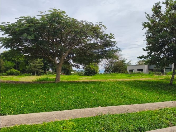 Lote en venta en Cerritos, Pereira, 2603 m² · foto 12 de 18