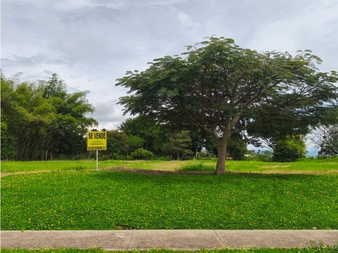 Lote en venta en Cerritos, Pereira, 2603 m² · foto 8 de 18