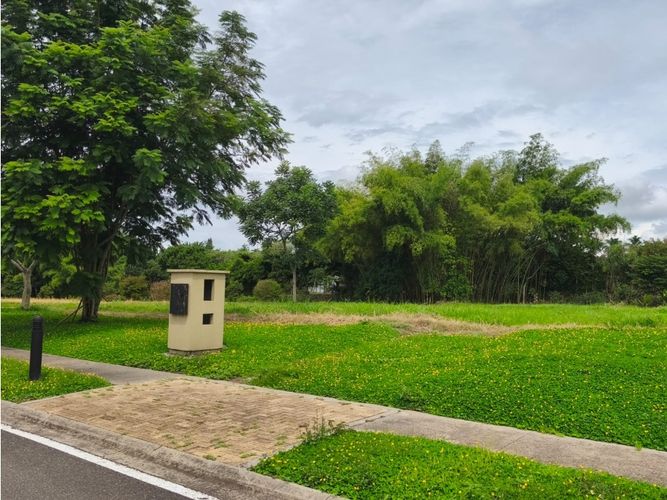 Lote en venta en Cerritos, Pereira, 2603 m² · foto 11 de 18