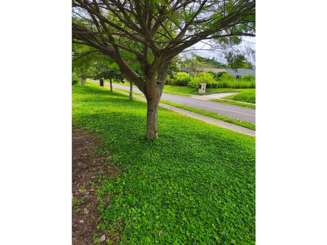 Lote en venta en Cerritos, Pereira, 2603 m² · foto 15 de 18