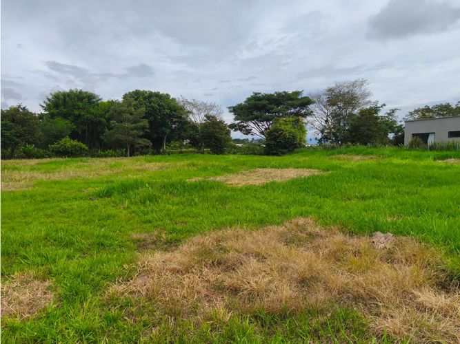 Lote en venta en Cerritos, Pereira, 2603 m² · foto 17 de 18