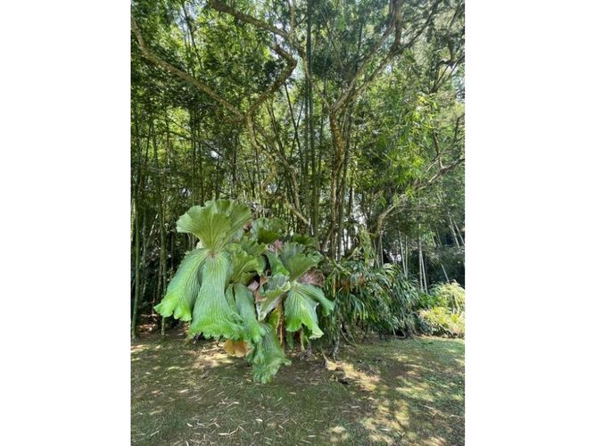 Finca en venta en Potrerito, Jamundí, 374 m² · foto 23 de 24