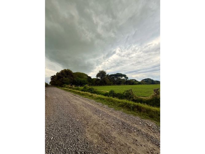 Lote en venta en Palmaseca, Palmira, 48000 m² · foto 3 de 14