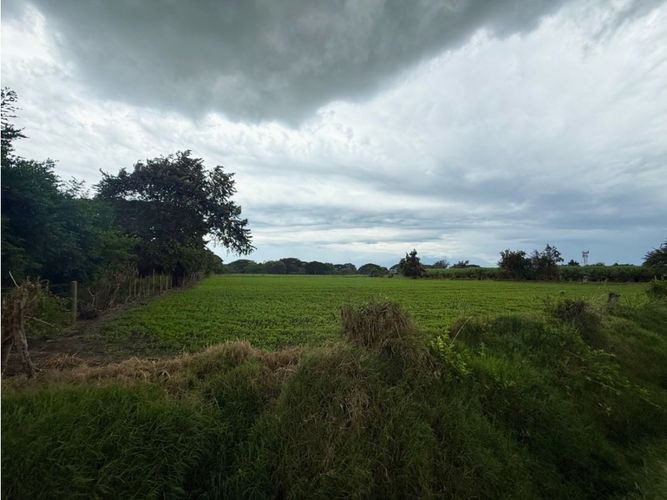 Lote en venta en Palmaseca, Palmira, 48000 m² · foto 4 de 14