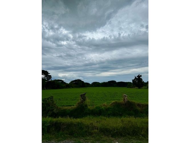 Lote en venta en Palmaseca, Palmira, 48000 m² · foto 5 de 14