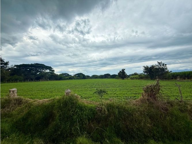 Lote en venta en Palmaseca, Palmira, 48000 m² · foto 6 de 14