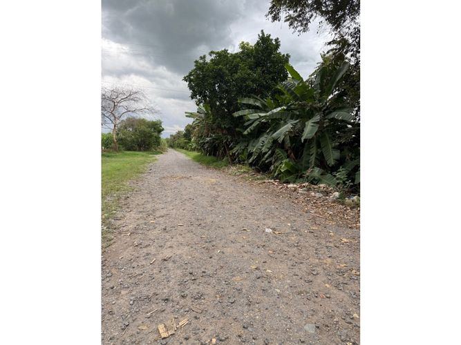 Lote en venta en Palmaseca, Palmira, 48000 m² · foto 7 de 14