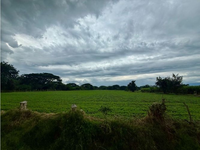Lote en venta en Palmaseca, Palmira, 48000 m² · foto 8 de 14