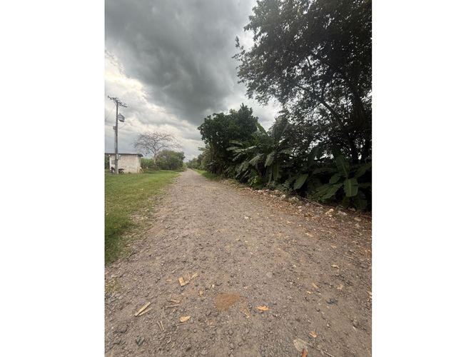 Lote en venta en Palmaseca, Palmira, 48000 m² · foto 9 de 14