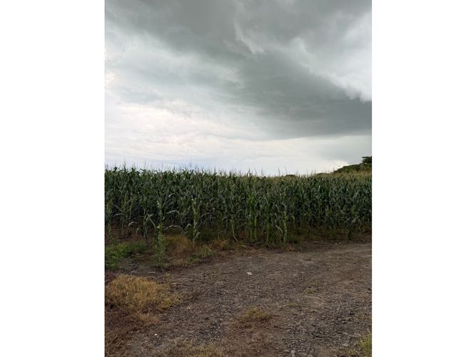 Lote en venta en Palmaseca, Palmira, 48000 m² · foto 10 de 14
