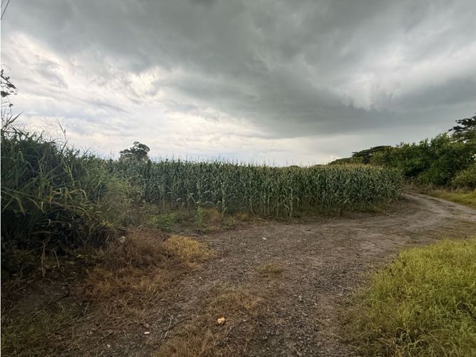 Lote en venta en Palmaseca, Palmira, 48000 m² · foto 11 de 14