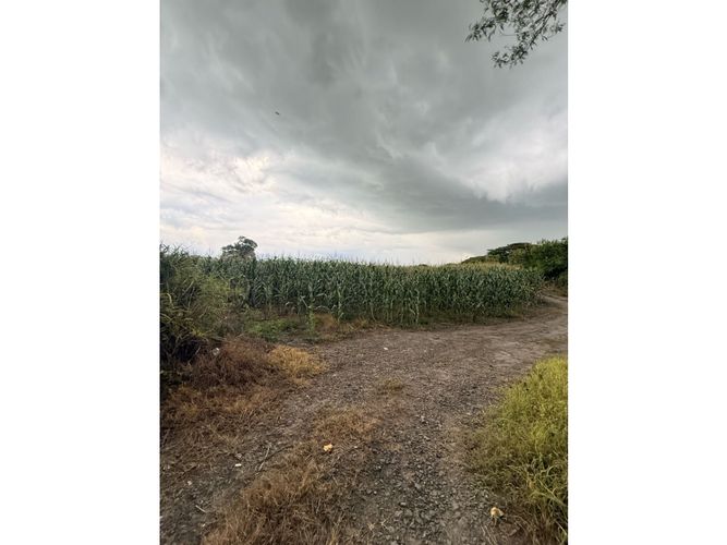 Lote en venta en Palmaseca, Palmira, 48000 m² · foto 12 de 14