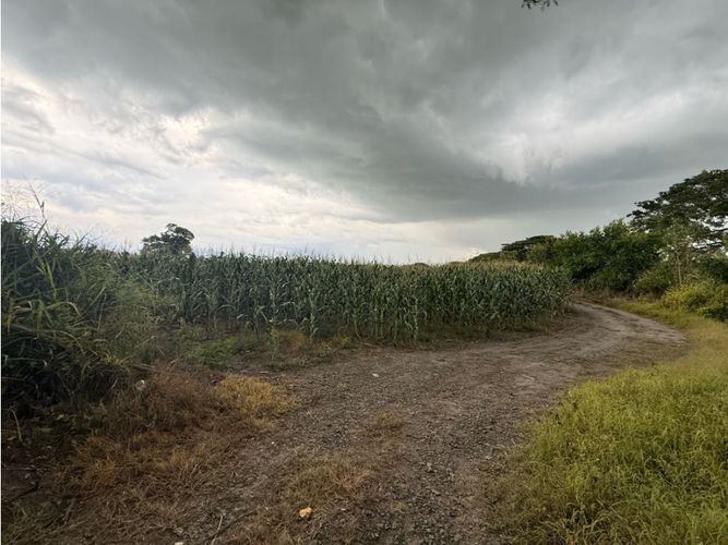 Lote en venta en Palmaseca, Palmira, 48000 m² · foto 13 de 14