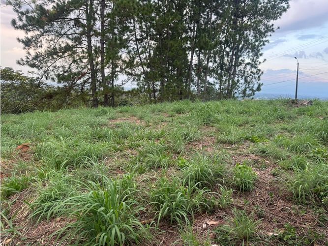 Lote en venta en San Vicente, Jamundí, 4011 m² · foto 3 de 8