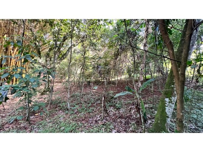Lote en venta en La Buitrera, Cali, 15806 m² · foto 7 de 11