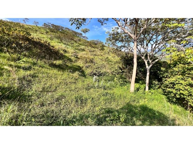 Lote en venta en La Buitrera, Cali, 15806 m² · foto 8 de 11