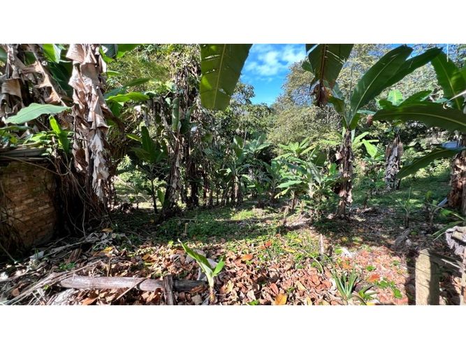 Lote en venta en La Buitrera, Cali, 15806 m² · foto 9 de 11