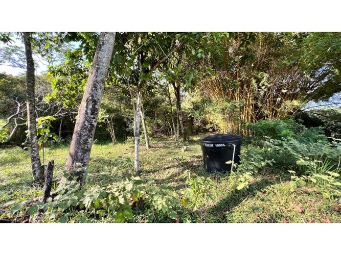Lote en venta en La Buitrera, Cali, 15806 m² · foto 10 de 11