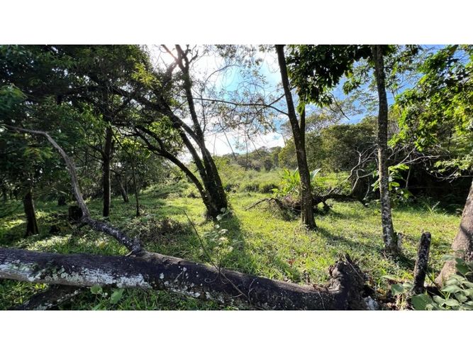 Lote en venta en La Buitrera, Cali, 15806 m² · foto 11 de 11
