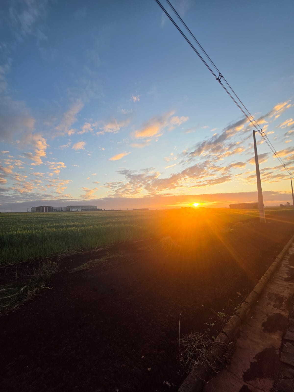 Exclusivo Terreno en Venta: Oportunidad Única para Construir la Empresa de tus sueños — foto 3