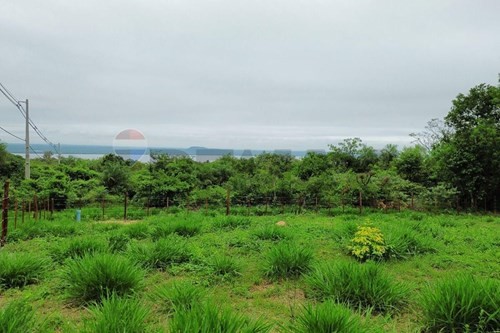 TERRENO EN VENTA SAN BERNARDINO - LA SUIZA