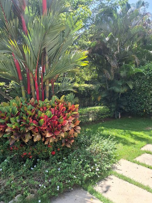 Casa de 3 alcobas en venta en Pance, Cali, 270 m² · foto 2 de 14