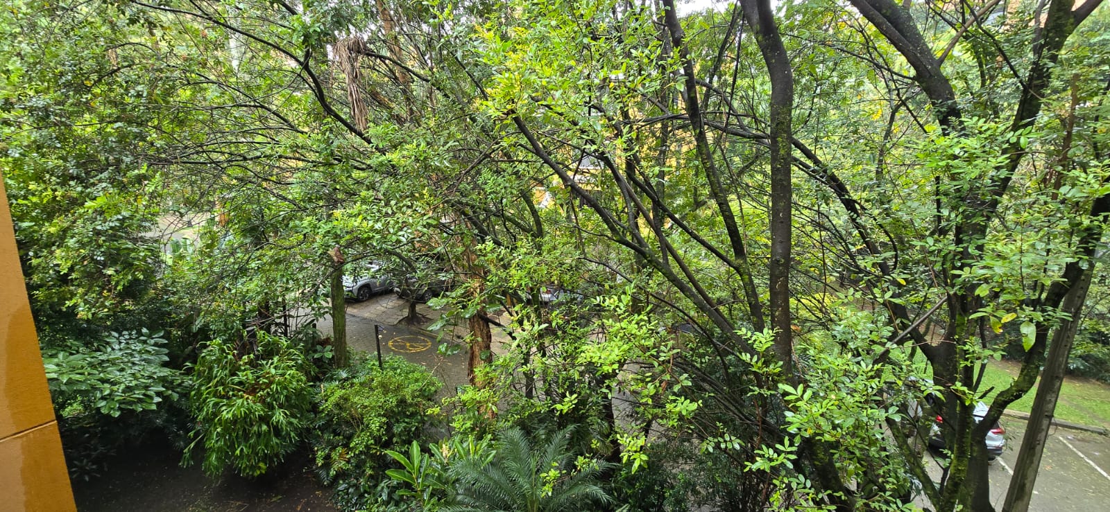 Casa en venta en Envigado 4