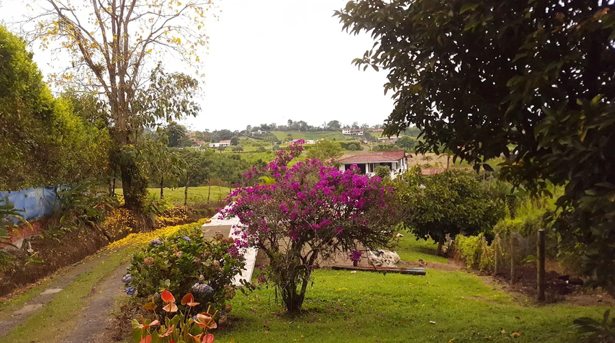 Finca en venta en Tribunas Corcega, Pereira, 6 m² · foto 4 de 9