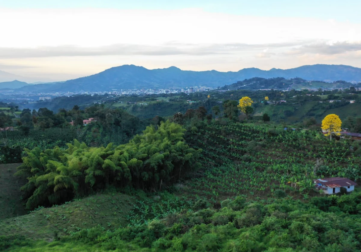 Finca en venta en Tribunas Corcega, Pereira, 6 m² · foto 9 de 9