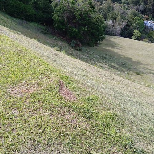 Lote en venta en Llano Grande, Rionegro, 6300 m² · foto 4 de 9