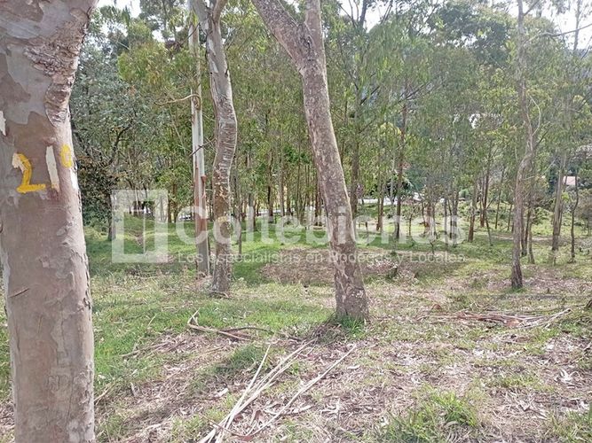 Lote en venta en Machado, Copacabana · foto 2 de 24