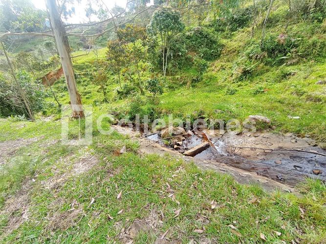 Lote en venta en Machado, Copacabana · foto 4 de 24